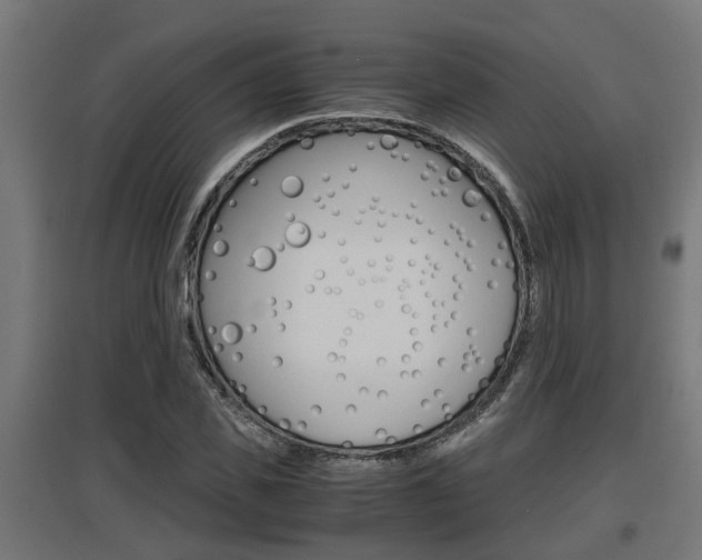 X0000097660925200802290918