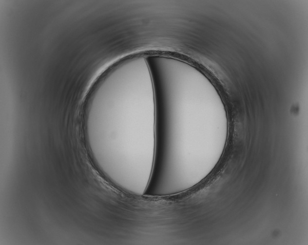 X0000097660926200802290918