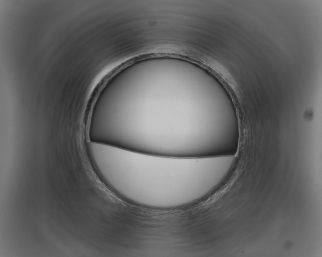 X0000097660928200802290918