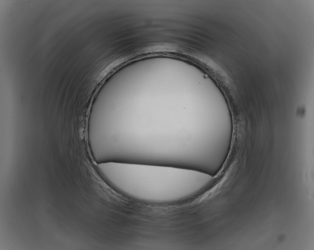 X0000097660929200802290918