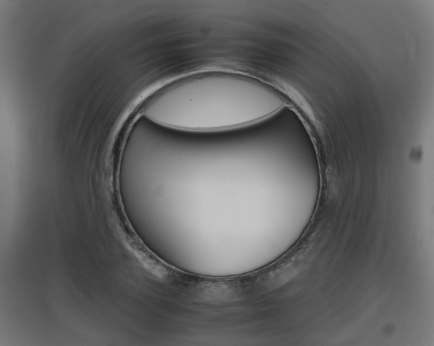 X0000097660931200802290918