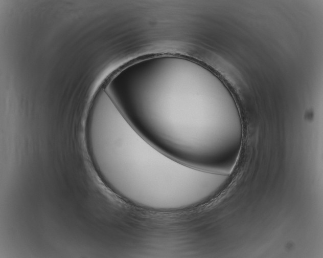 X0000097660936200802290918