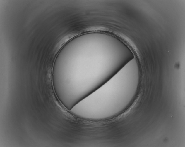 X0000097660937200802290918