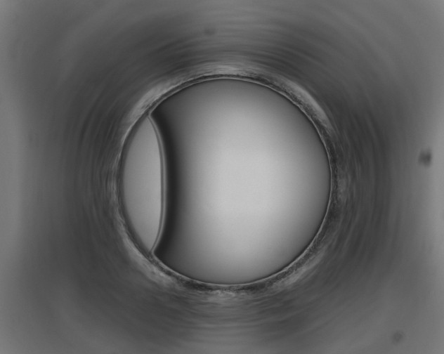 X0000097660938200802290918