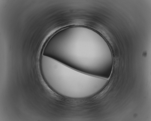 X0000097660939200802290918