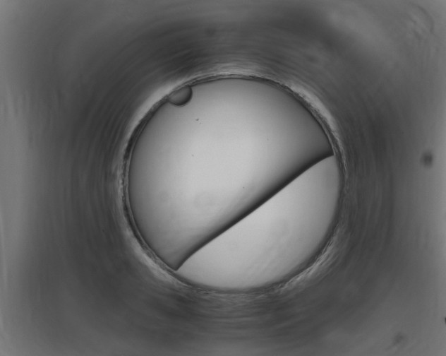 X0000097660941200802290918