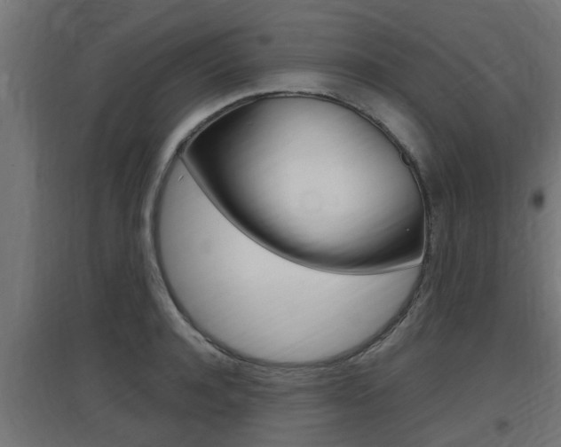 X0000097660944200802290918