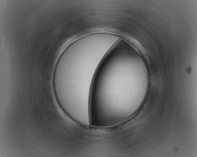 X0000097660946200802290918