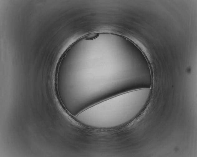 X0000097660949200802290918