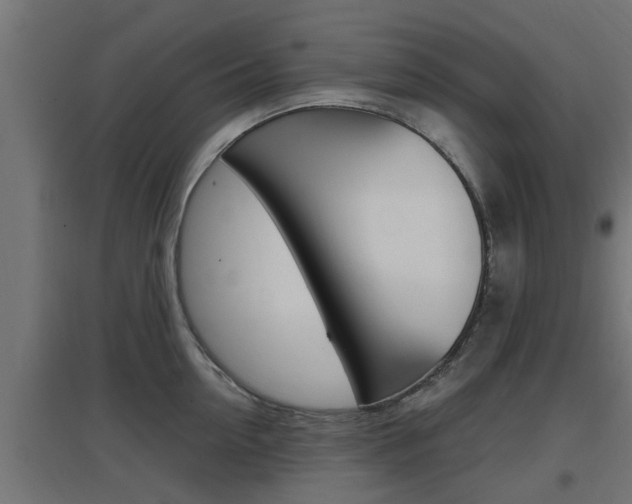 X0000097660954200802290918