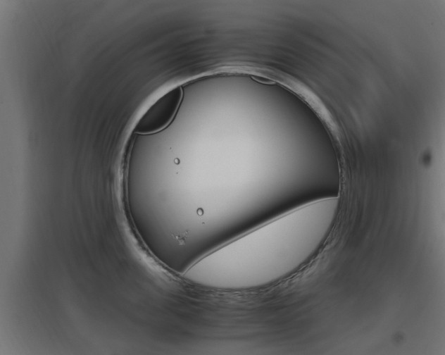 X0000097660955200802290918