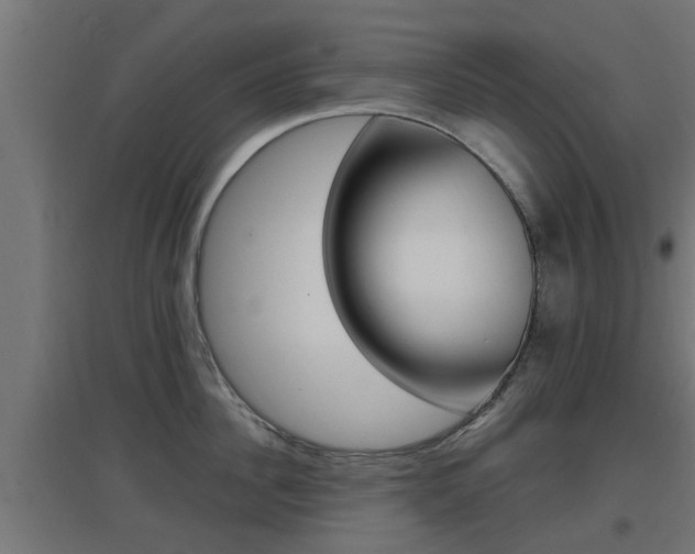 X0000097660956200802290918