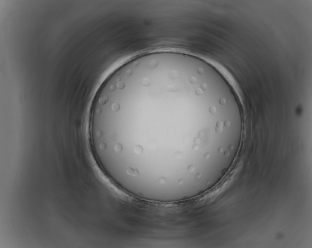 X0000097660957200802290918