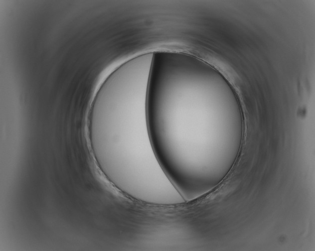 X0000097660960200802290918