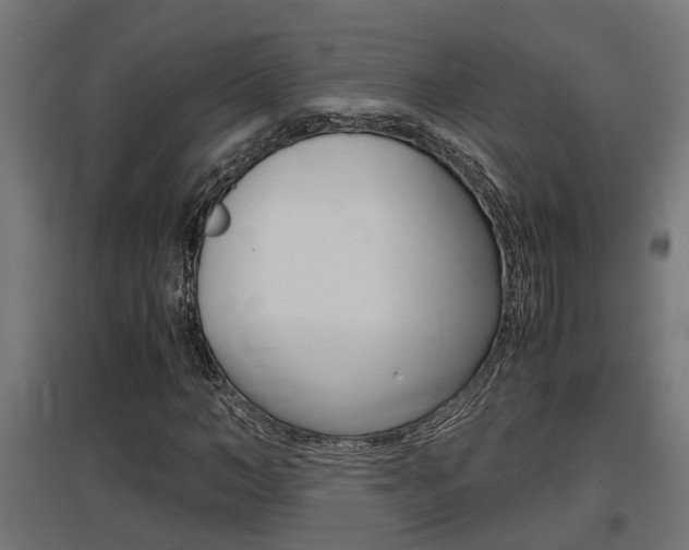 X0000097660966200802290918