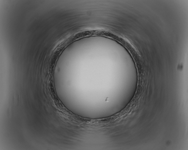 X0000097660967200802290918