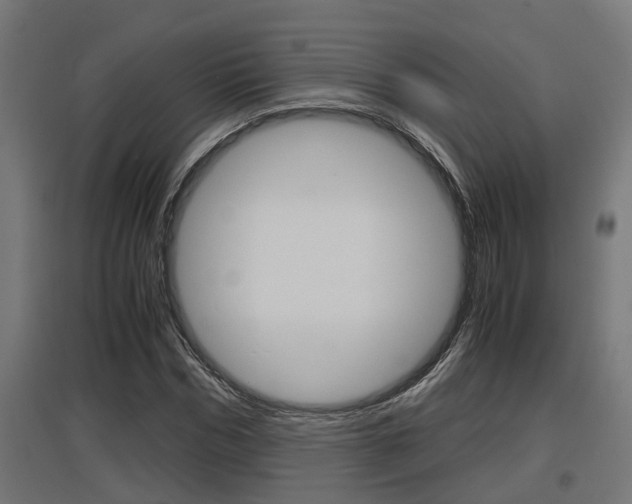 X0000097660970200802290918