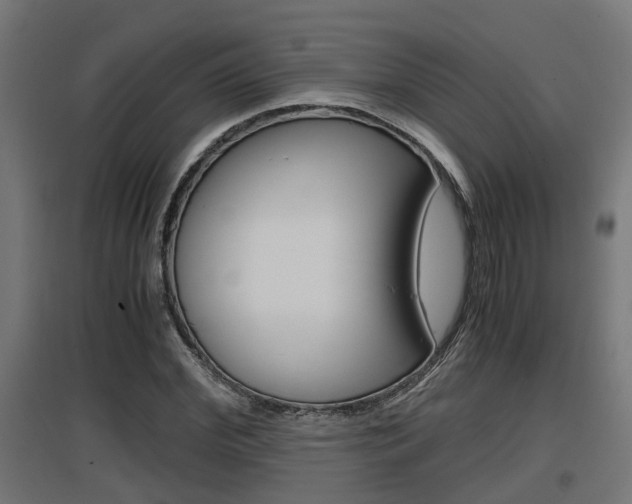 X0000097660972200802290918