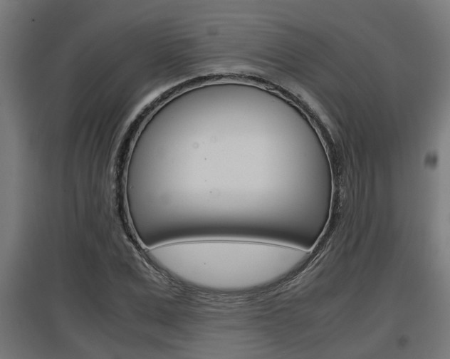 X0000097660975200802290918