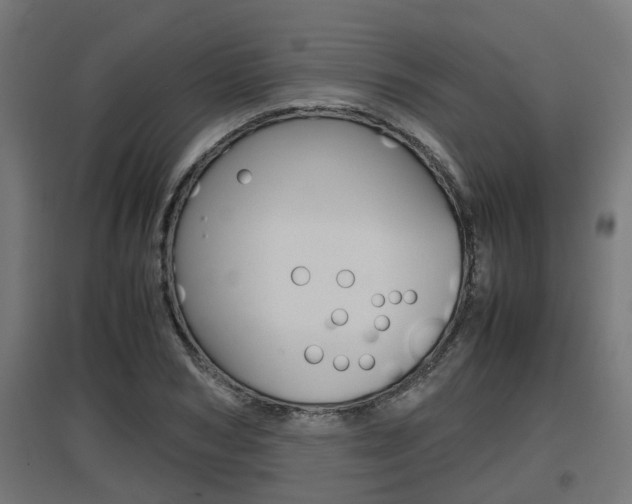 X0000097660978200802290917