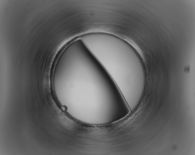 X0000097660980200802290917