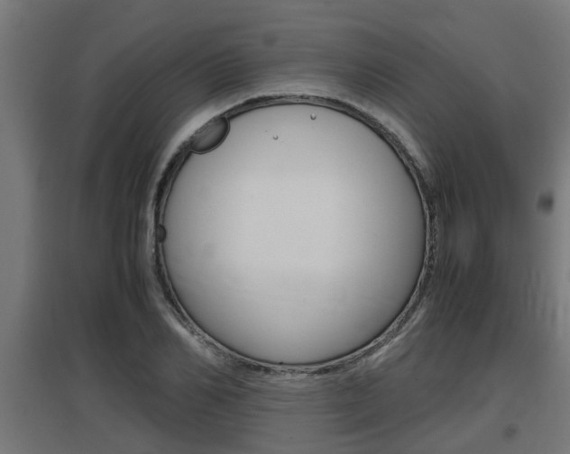 X0000097660982200802290917