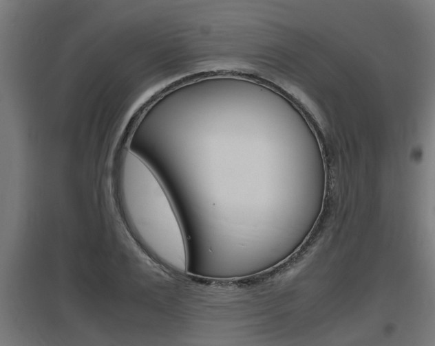 X0000097660983200802290917