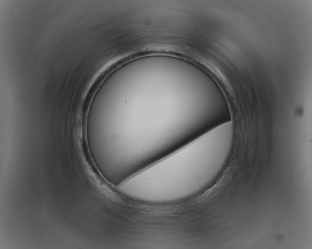 X0000097660984200802290917