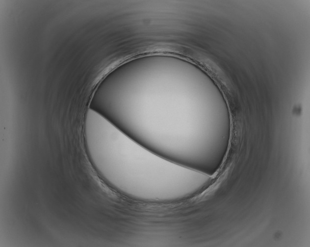 X0000097660985200802290917