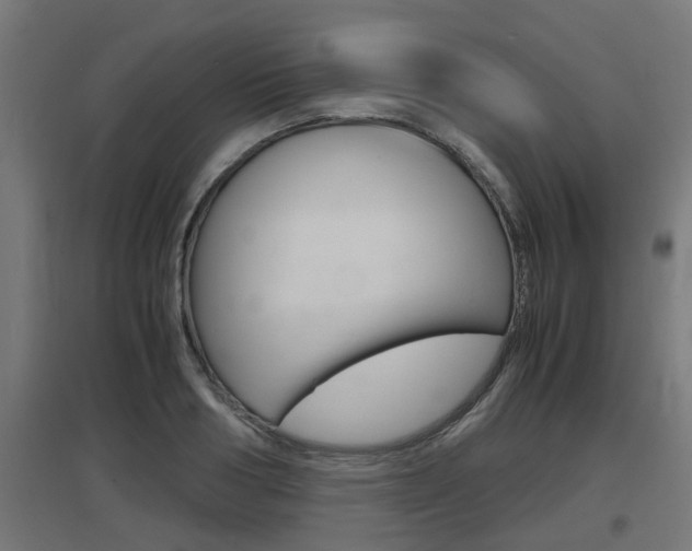 X0000097660986200802290917