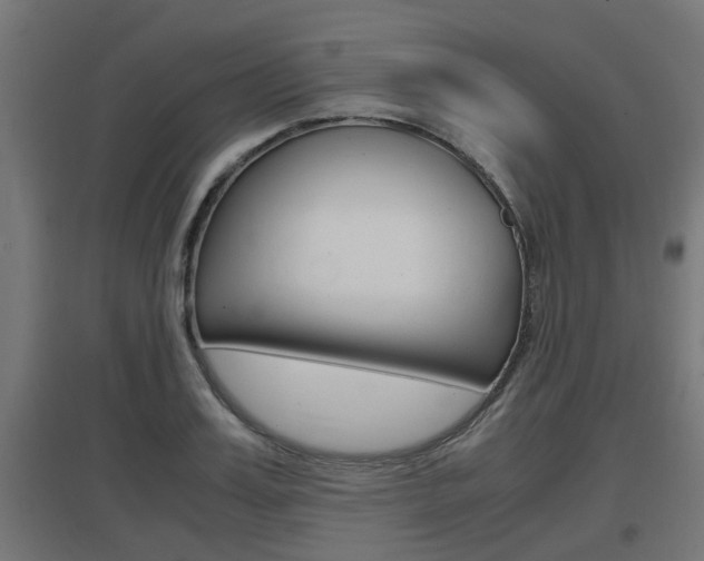 X0000097660987200802290917