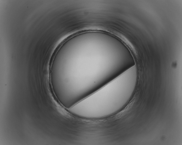 X0000097660988200802290917