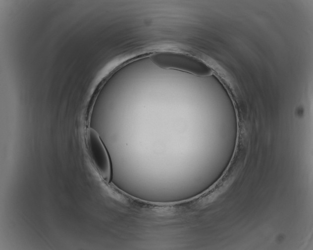 X0000097660989200802290917