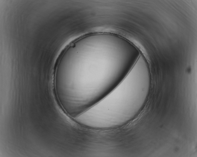 X0000097660992200802290917