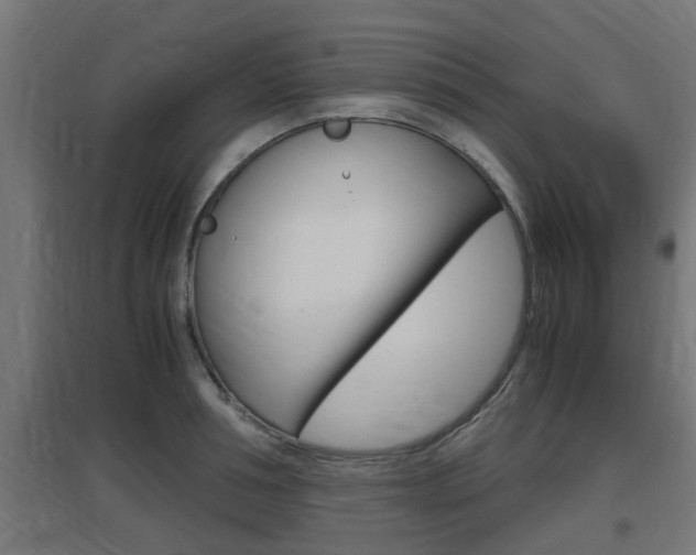 X0000097660994200802290917