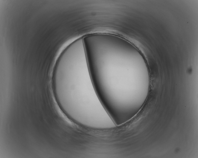 X0000097660995200802290917