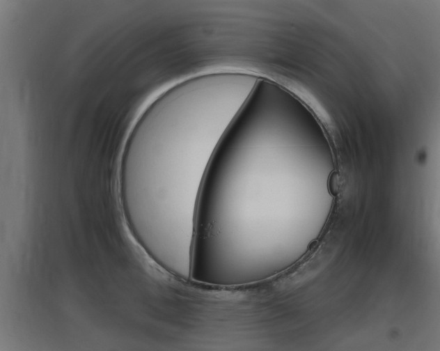 X0000097660996200802290917