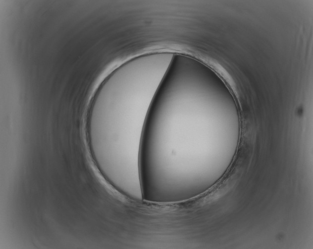 X0000097660997200802290917