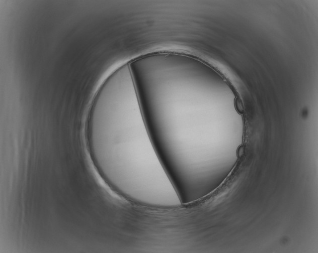 X0000097660999200802290917