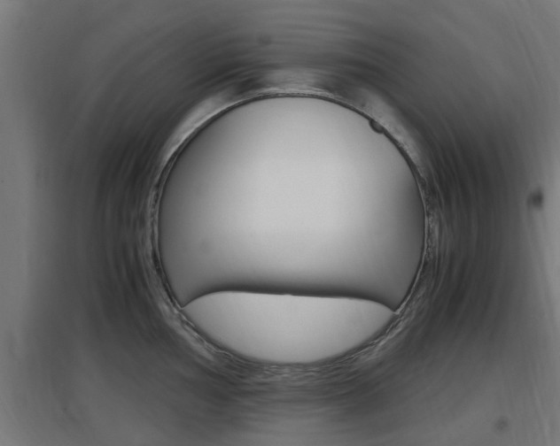X0000097661002200802290917