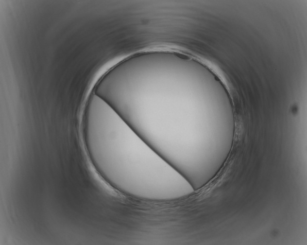 X0000097661003200802290917