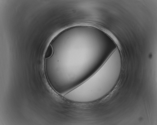 X0000097661004200802290917