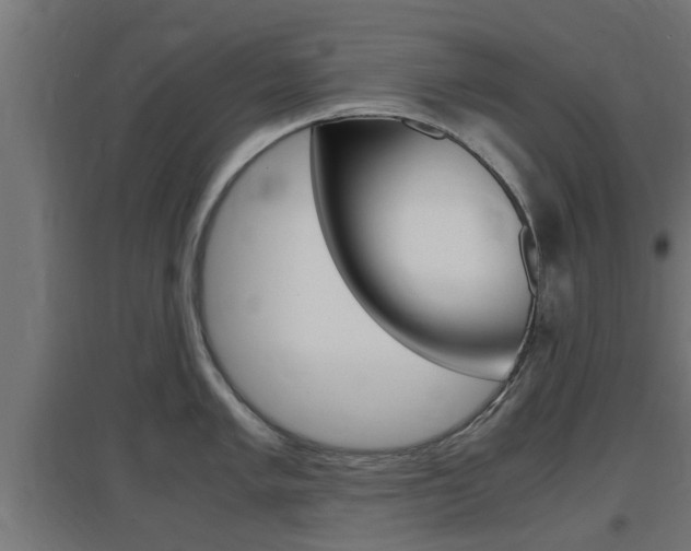 X0000097661005200802290917