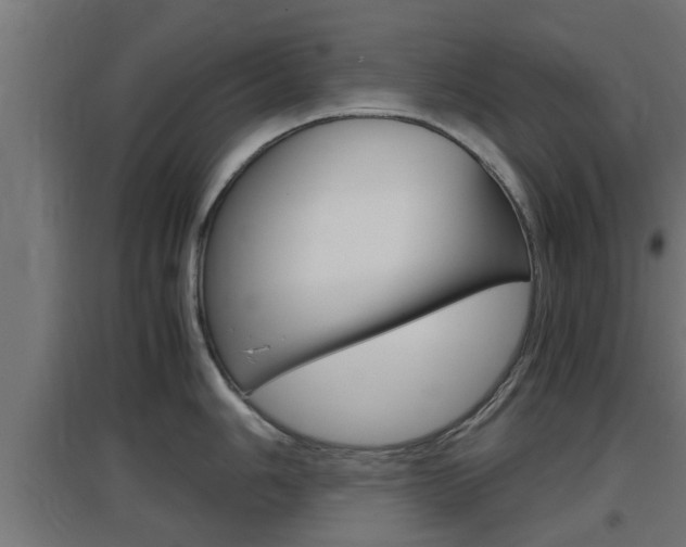 X0000097661006200802290917