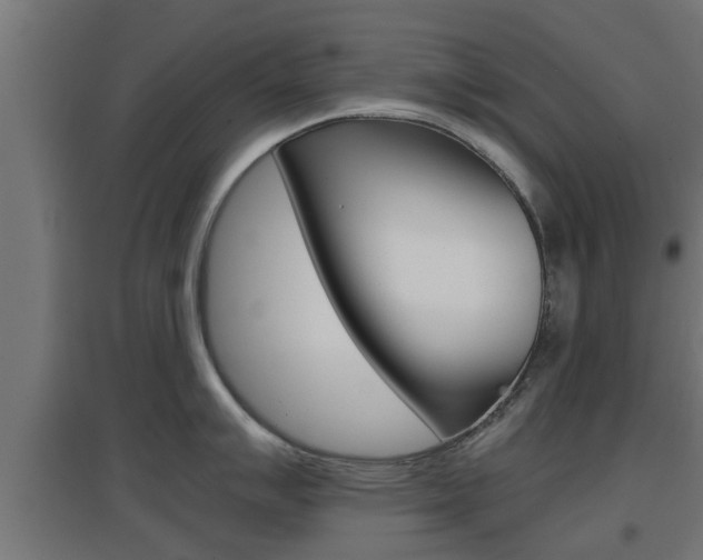 X0000097661007200802290917