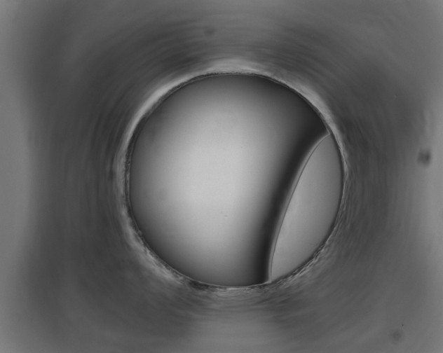 X0000097661008200802290917