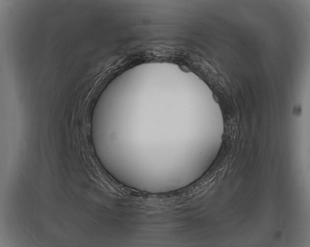 X0000097661009200802290916