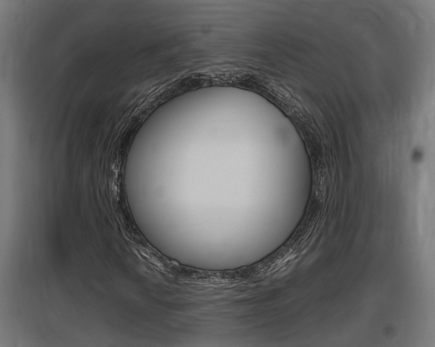 X0000097661010200802290916