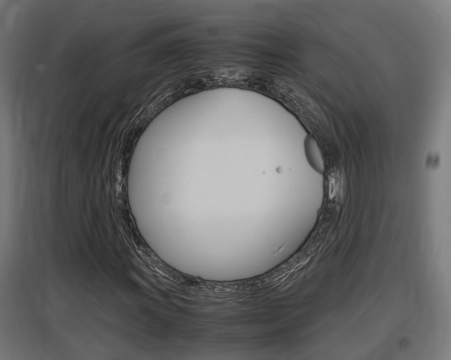 X0000097661011200802290916