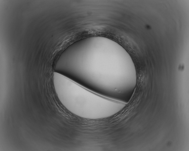 X0000097661012200802290916